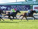 SASSY MERLOT GAINS VALUE STAKES VICTORY